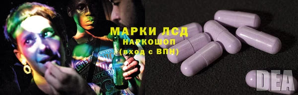 стафф Алзамай