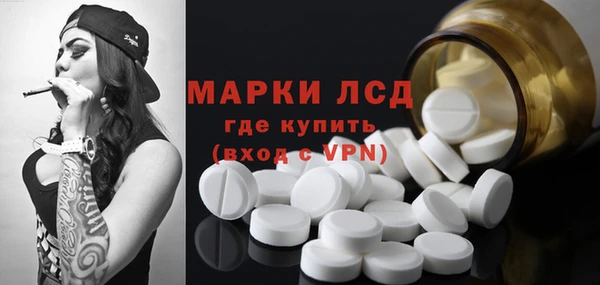 стафф Алзамай