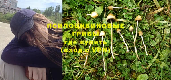 стафф Алзамай