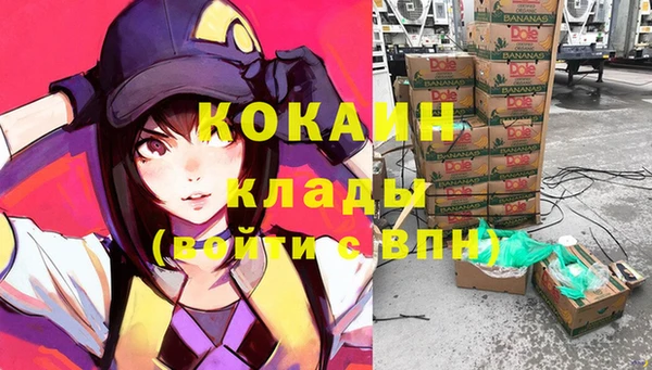 стафф Алзамай